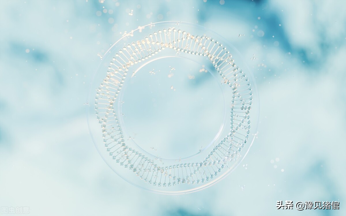 养猪技术猪圆环病,猪痢疾的发病原因及预防措施