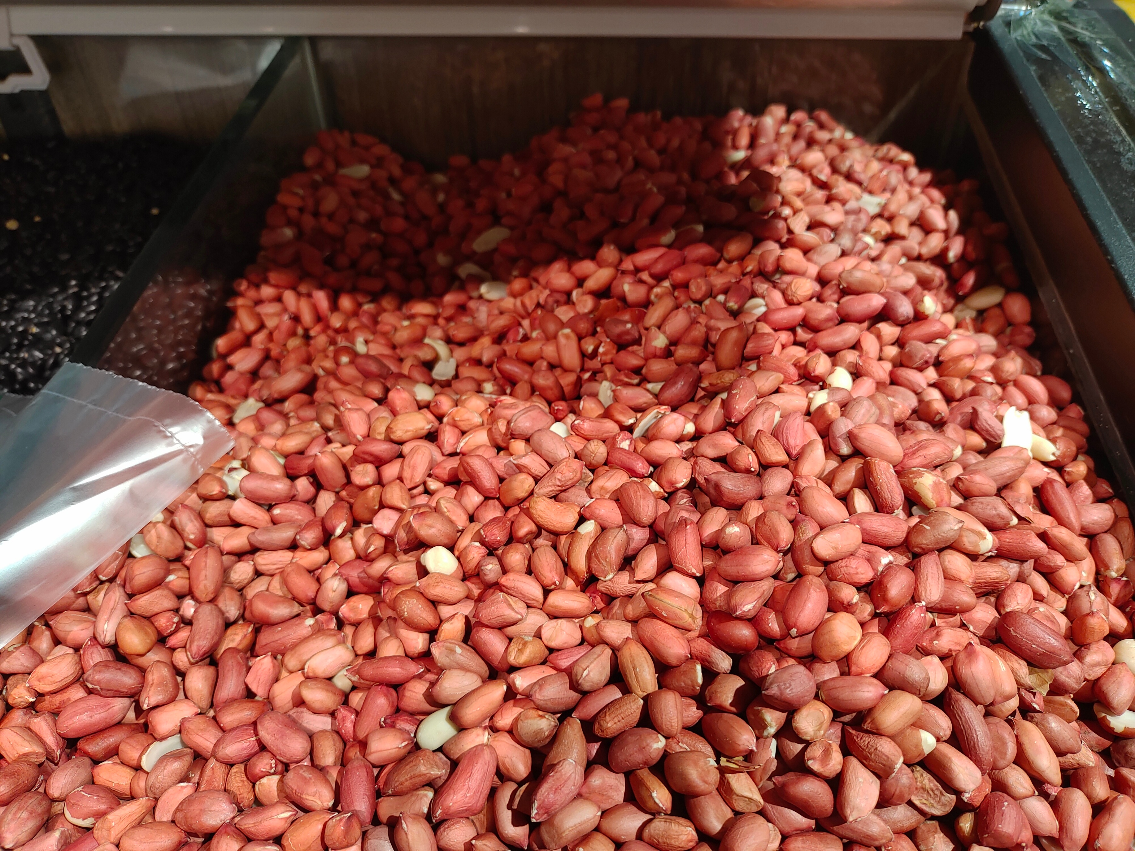 斑鸠的最佳配置,斑鸠鸟怎么喂食的