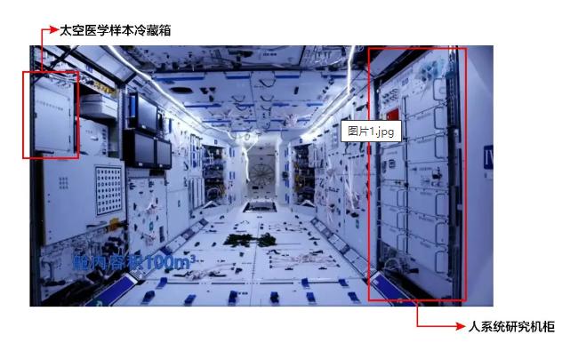 中国出最多院士的大学,10年41所高校诞生首位本土院士