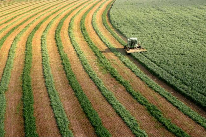 古代历史中的以色列,古代以色列鼎盛时期