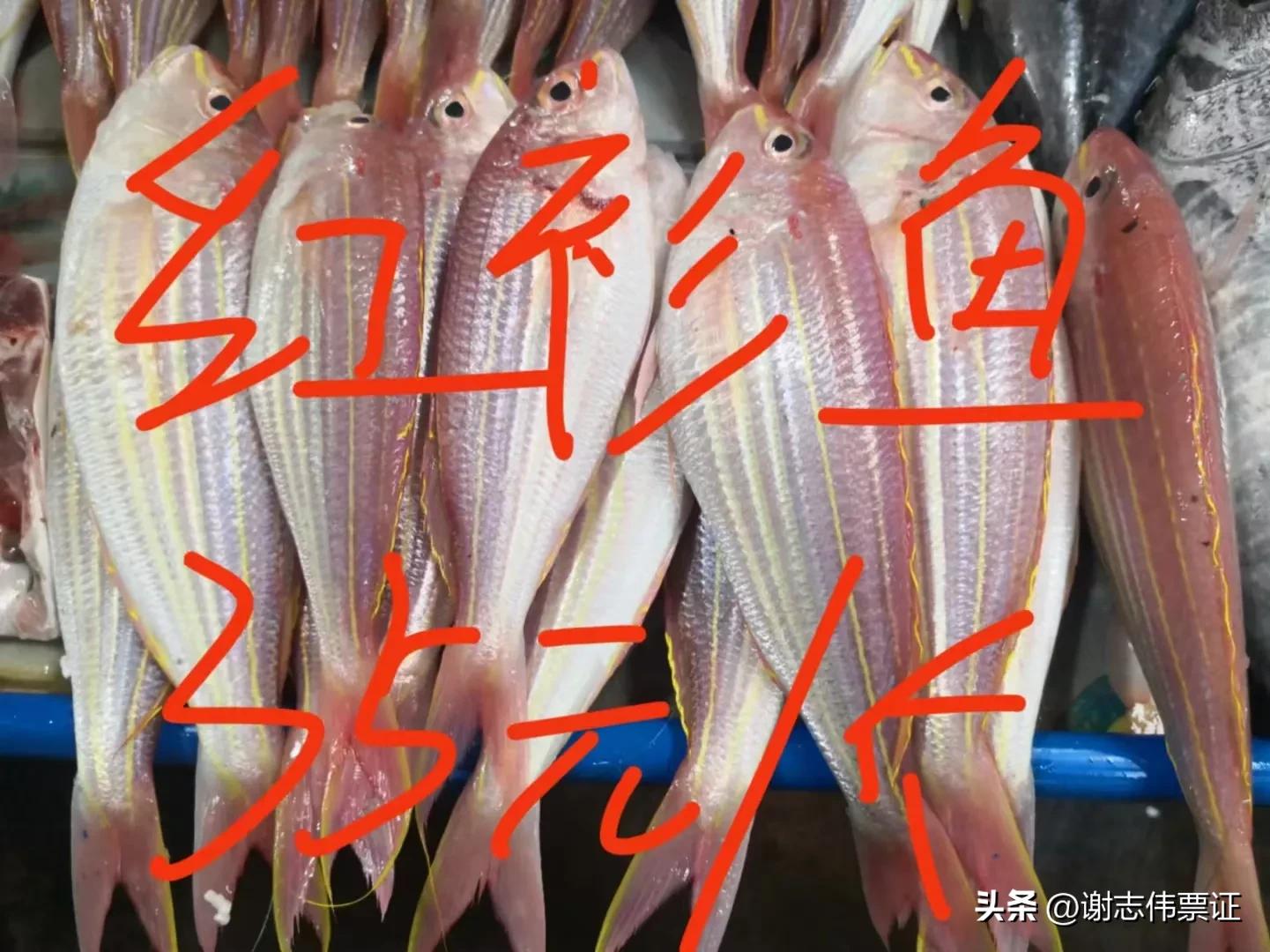 海南风情（015）上埇村海鱼价目知多少