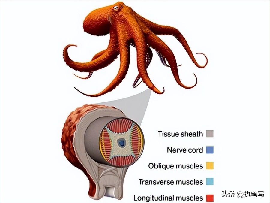 细思极恐的冷知识,细思极恐的冷知识最火