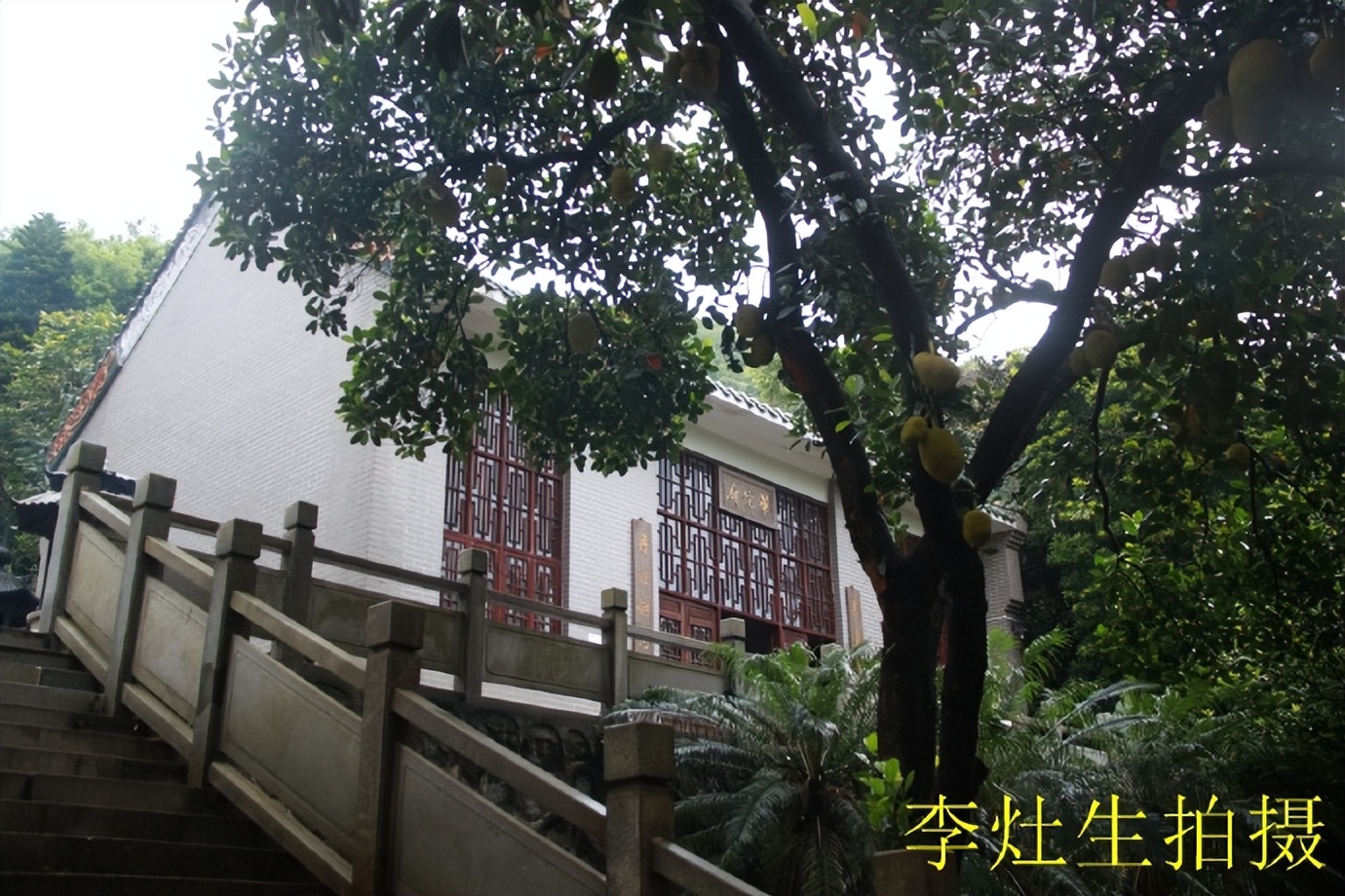 杨四将军庙简介,杨四将军庙在哪个位置