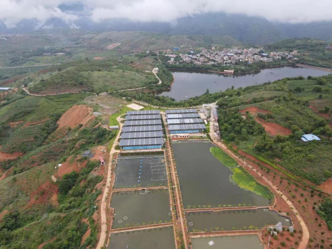 产业金钥匙打开致富门,金钥匙开启财富之门