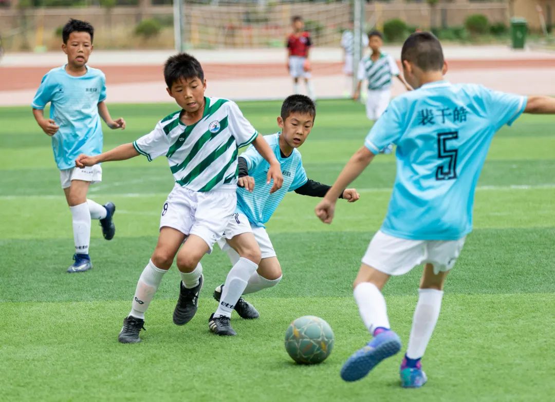 迎接党的20大美术作品,喜迎二十大乡村摄影展