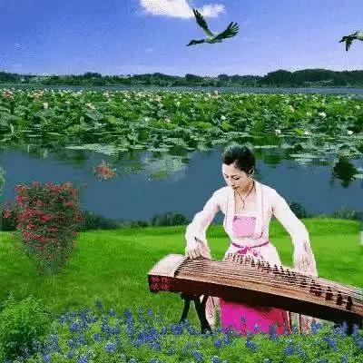 网络购物与现实差距,网络购物与消费者的关系