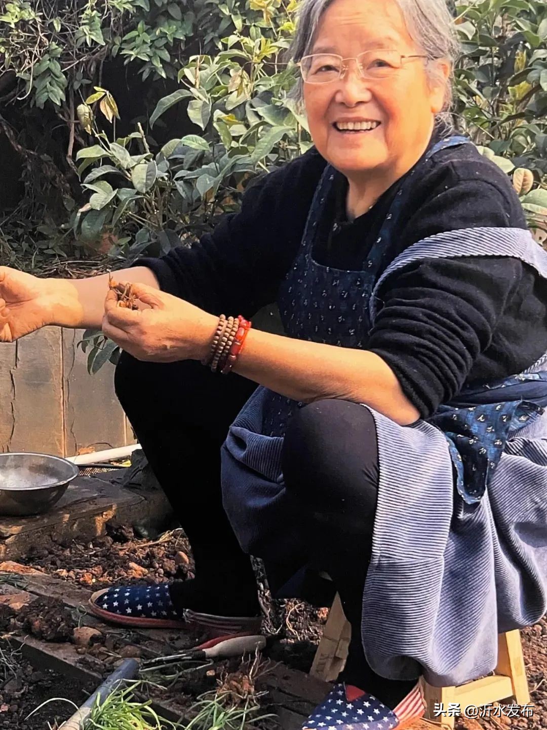 连她都敢请,这档综艺怎么想的