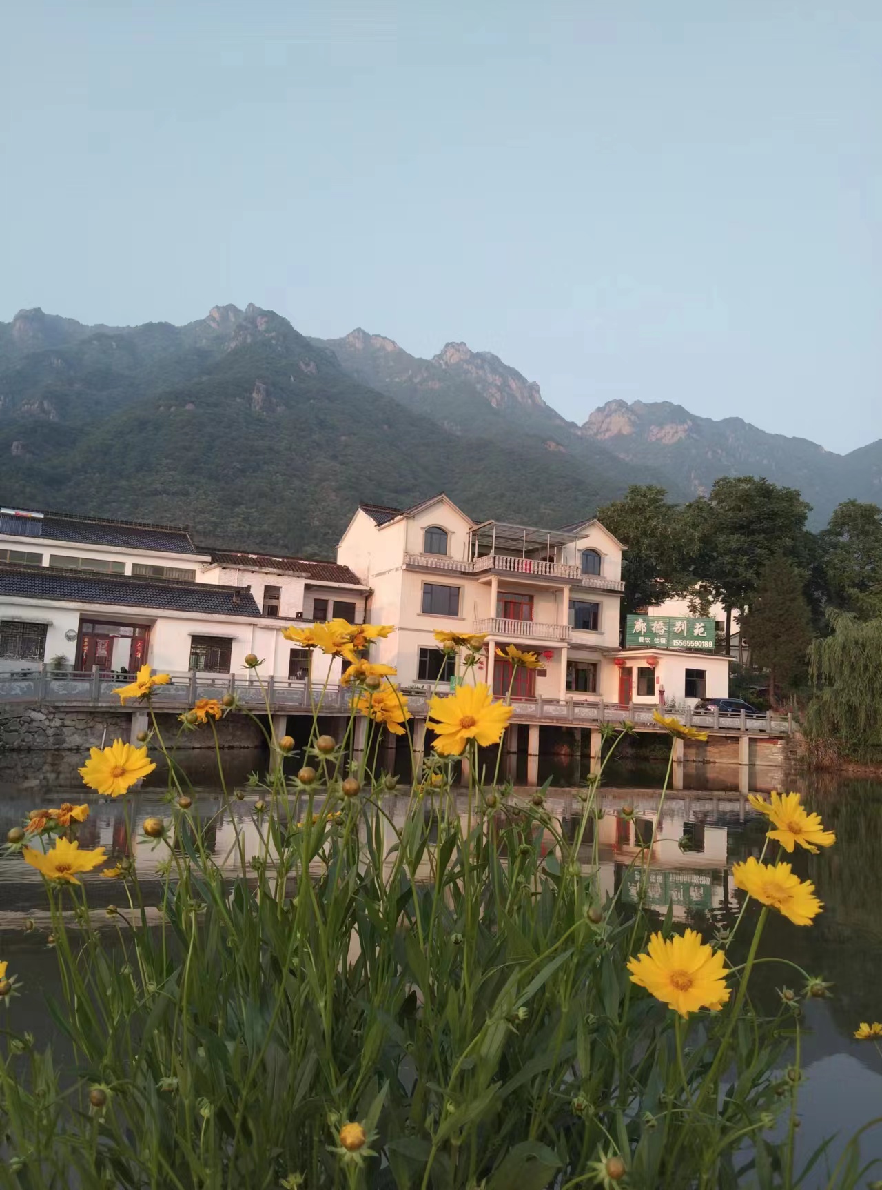 梦中的情人请你留下来,梦中的情人原唱完整版