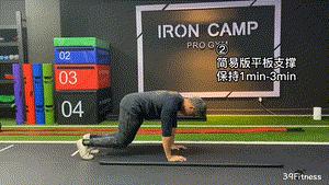 平板支撑一招搞定,各种明星平板支撑视频