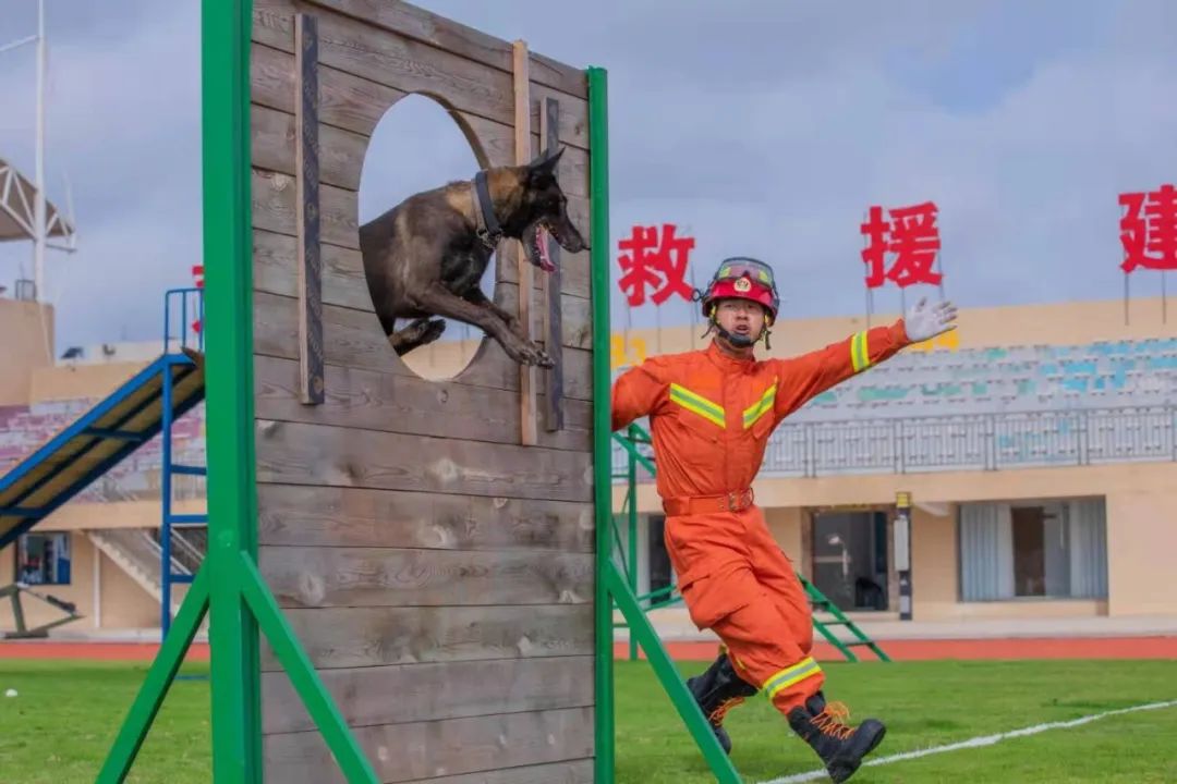 王鹏这个人怎么样,王鹏评价