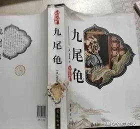 清代小说九尾龟,九尾龟小说完整版