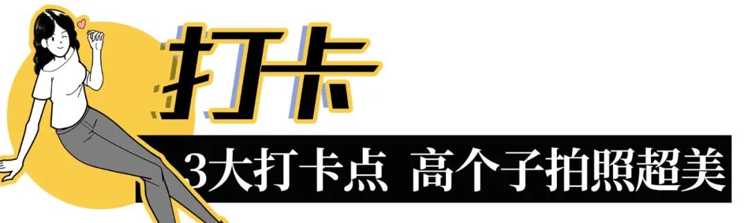 深圳户外公园最大滑滑梯,深圳滑滑梯免费南山公园附近