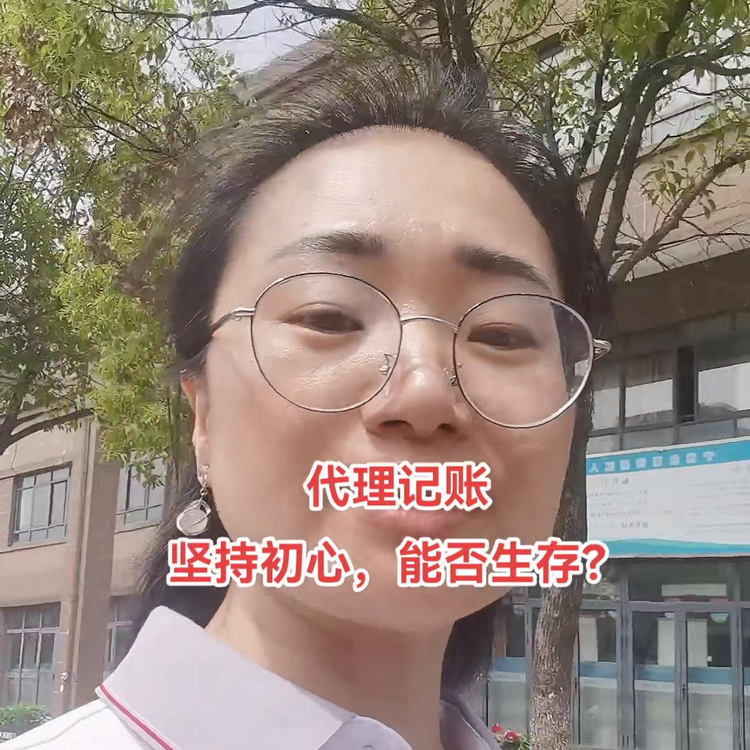 代理记账今日总结,代理记账的活好做吗