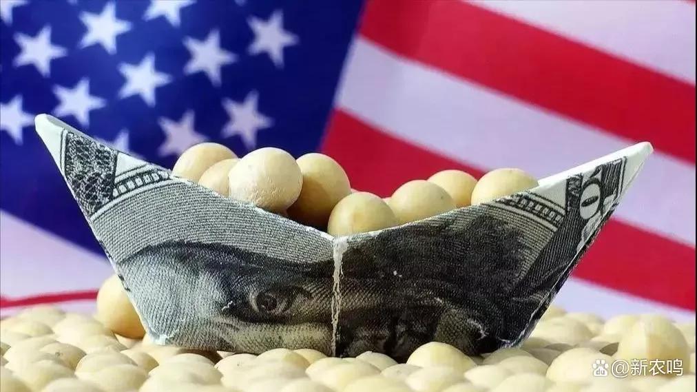 美国阴谋：不制裁*疆新**小麦、玉米、高粱、大豆，偏偏制裁*疆新**棉花