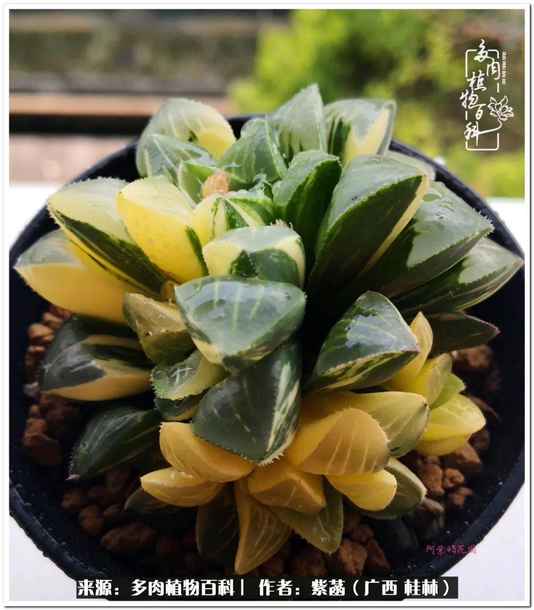 酷暑里的关爱，如十二卷般透亮绵长