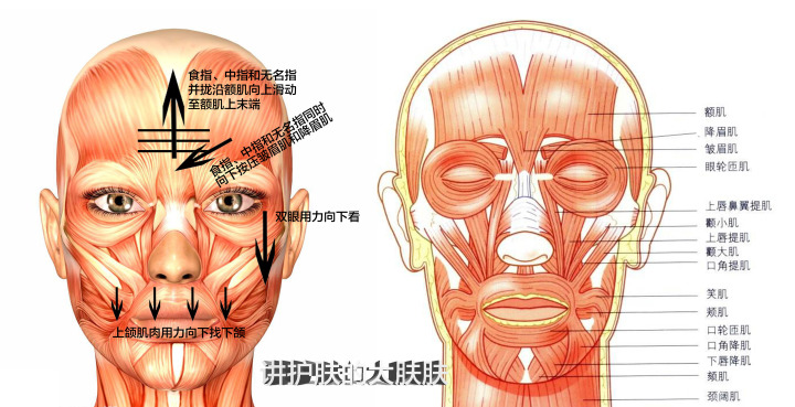 额头皱纹多了用什么方法去除最好,才22岁额头就有皱纹了男生怎么办