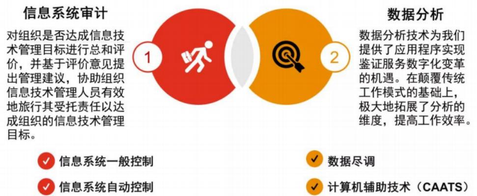 A股IPO信息系统核查实用解析,a股ipo常见的红线