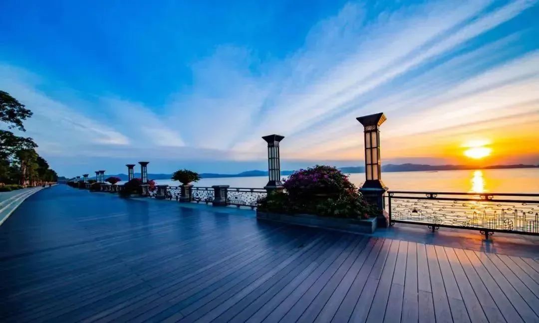 2020日韩青岛进口博览会,2019日韩青岛进口商品博览会开幕