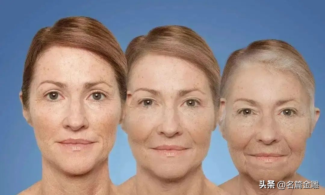 24年坚守假一赔亿诚信品牌金加瀛创始人卢亚波冬季盖蚕丝被6好处