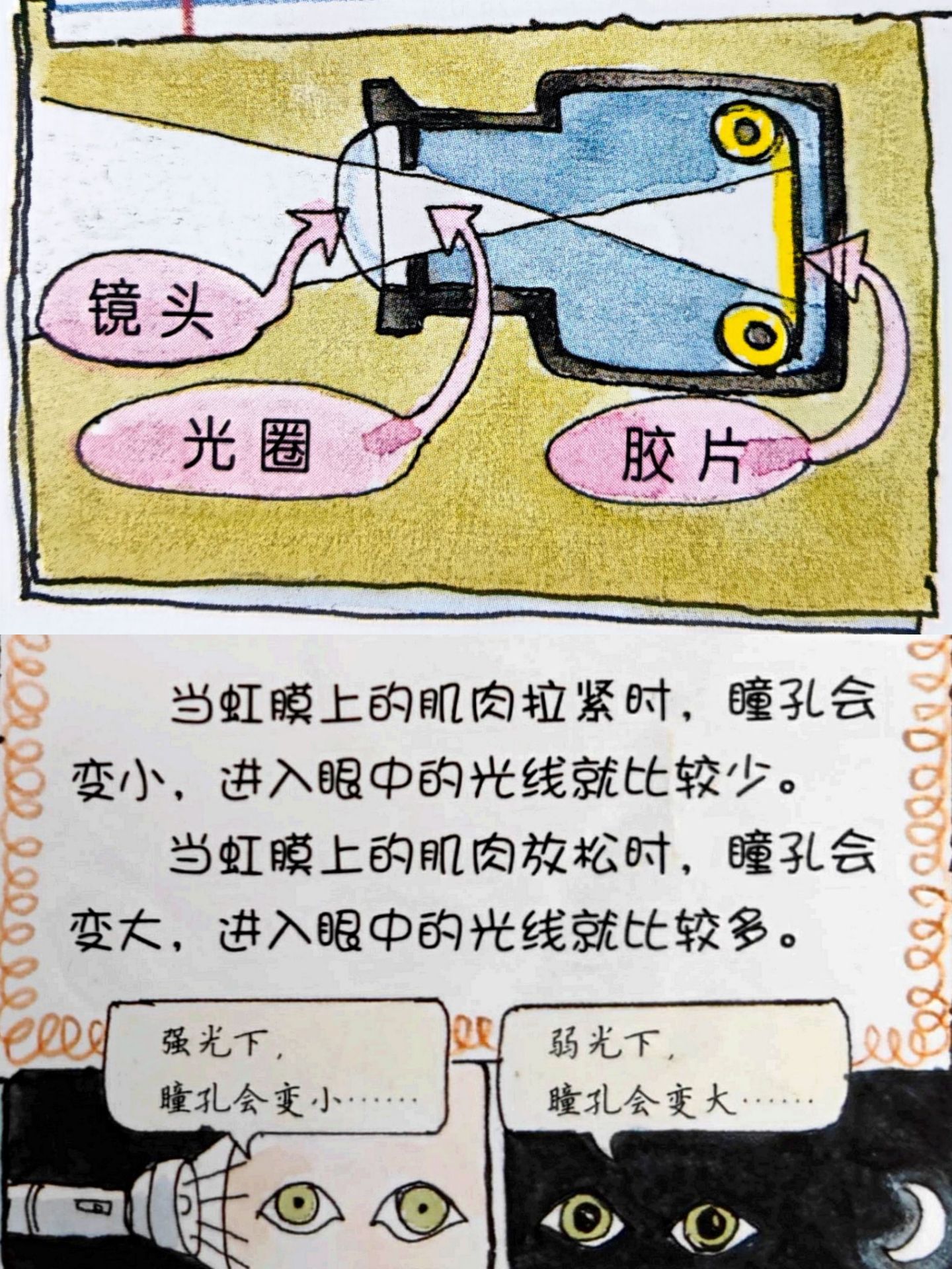 5种方法教你有效缓解眼部疲劳,缓解孩子眼疲劳怎么锻炼眼部