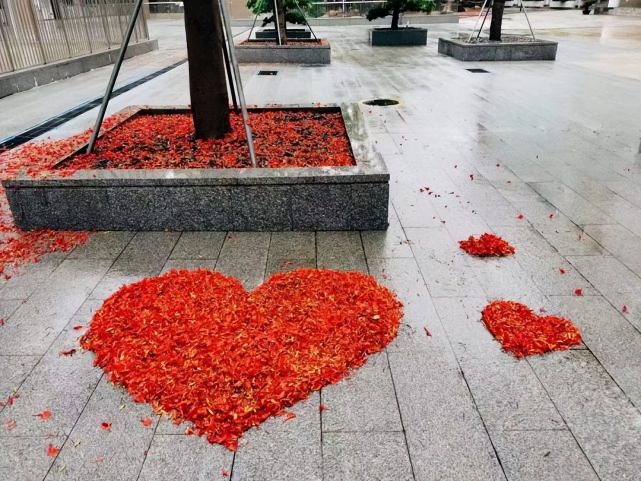 深中新锐|李爽:高一到高三,我的三年成长