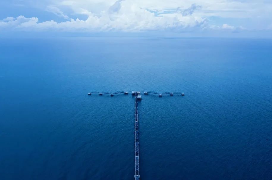 这座岛究竟有何神奇之处,怎么玩海陵岛不踩坑