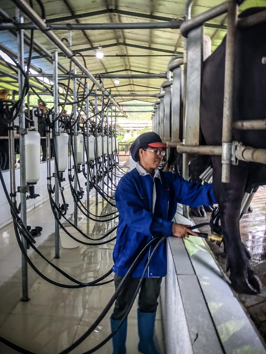 借力天猫超市，水牛奶新贵“亿小瓶”618卖爆了