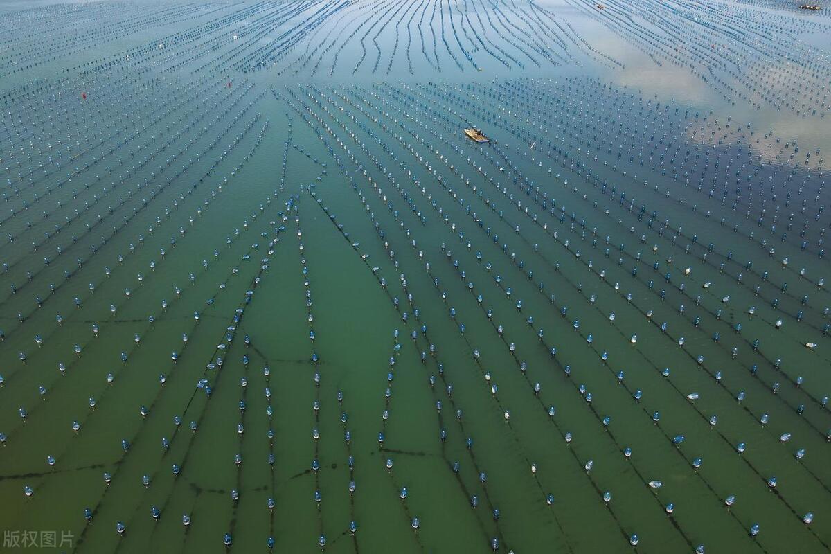 水产养殖类还有赚钱的机会吗,水产养殖的前景和利润