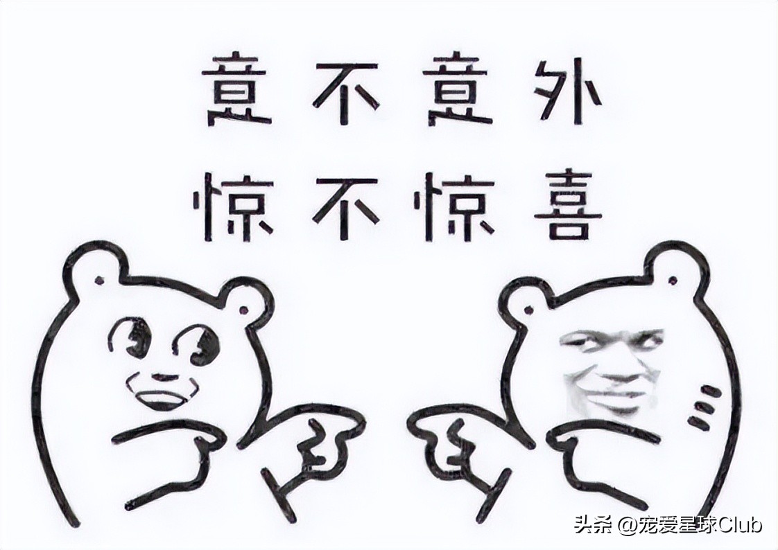 狗狗掉毛都快秃了还痒,狗狗尾巴毛掉秃了怎么回事