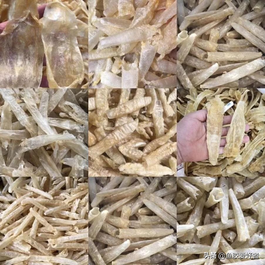 什么样的鱼胶不建议买,不建议入手的鱼胶