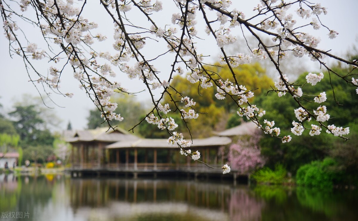 第一次逛西湖攻略,去西湖玩一定要知道的几件事