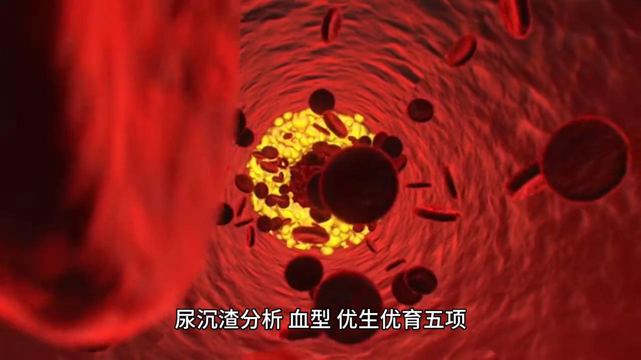 备孕难的经历,备孕难到怀疑人生