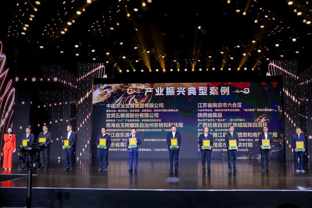 乡村振兴生态振兴事迹,乡村振兴文化振兴有哪些案例