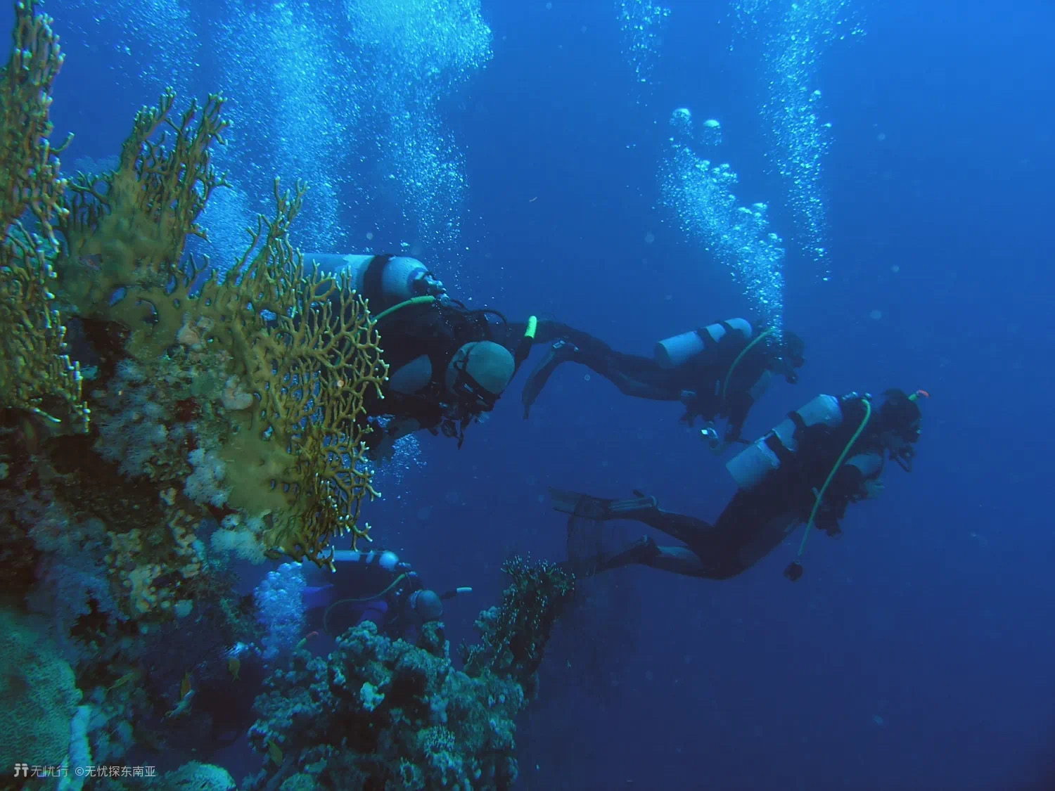 做好哪些攻略才能去马尔代夫,第一次去马尔代夫选哪个岛屿好