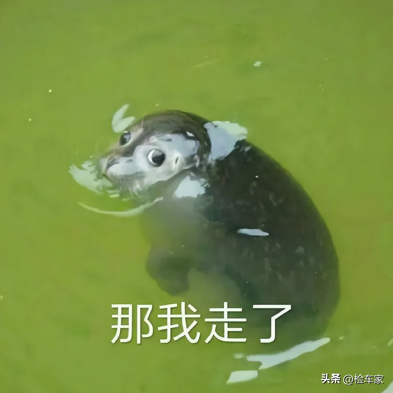 特斯拉新款modelx销量,特斯拉真实续航跟保值率