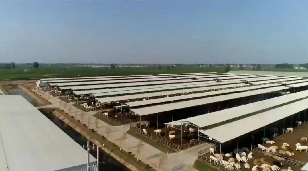 鍏ㄥ姏鎷肩粡娴庡彇寰楀紑闂ㄧ孩,鍏ㄥ姏鎷肩粡娴庡疄鐜板紑闂ㄧ孩婕旇