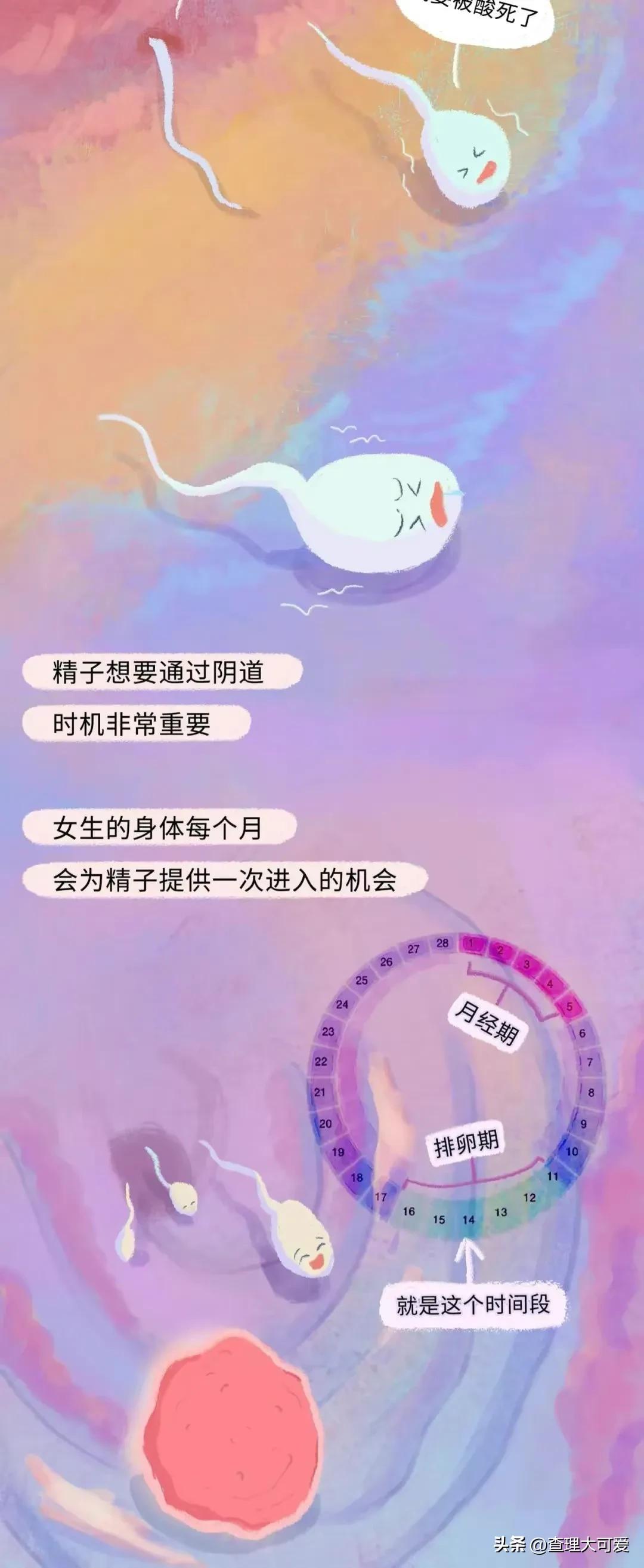 小蝌蚪找妈妈故事完整漫画,小蝌蚪漫画