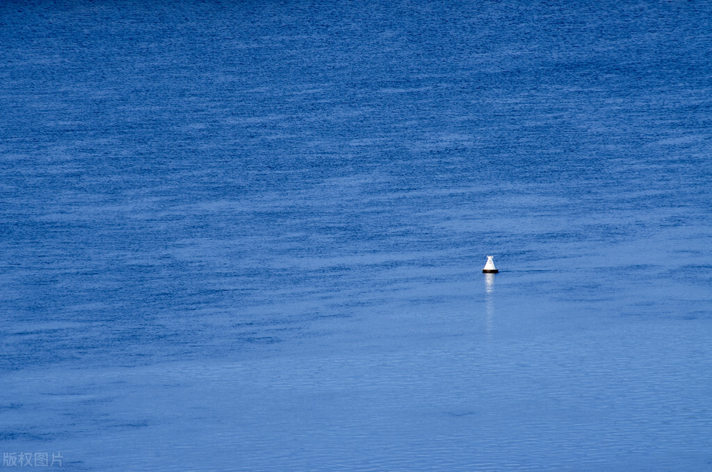 红虫挂钩的正确方法朝天钩挂红虫,钓鱼红虫是直接挂钩好还是皮筋好