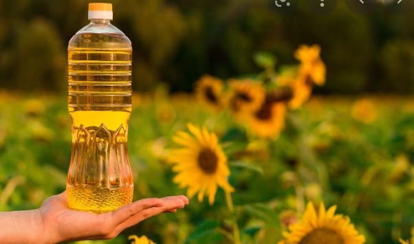 不再依赖乌克兰葵花籽油！西班牙农民开始改行大量种植油籽植物