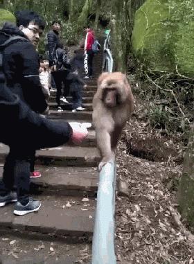 今日动图：前不久交了一位女朋友，昨天晚上约会时忍不住吻了她