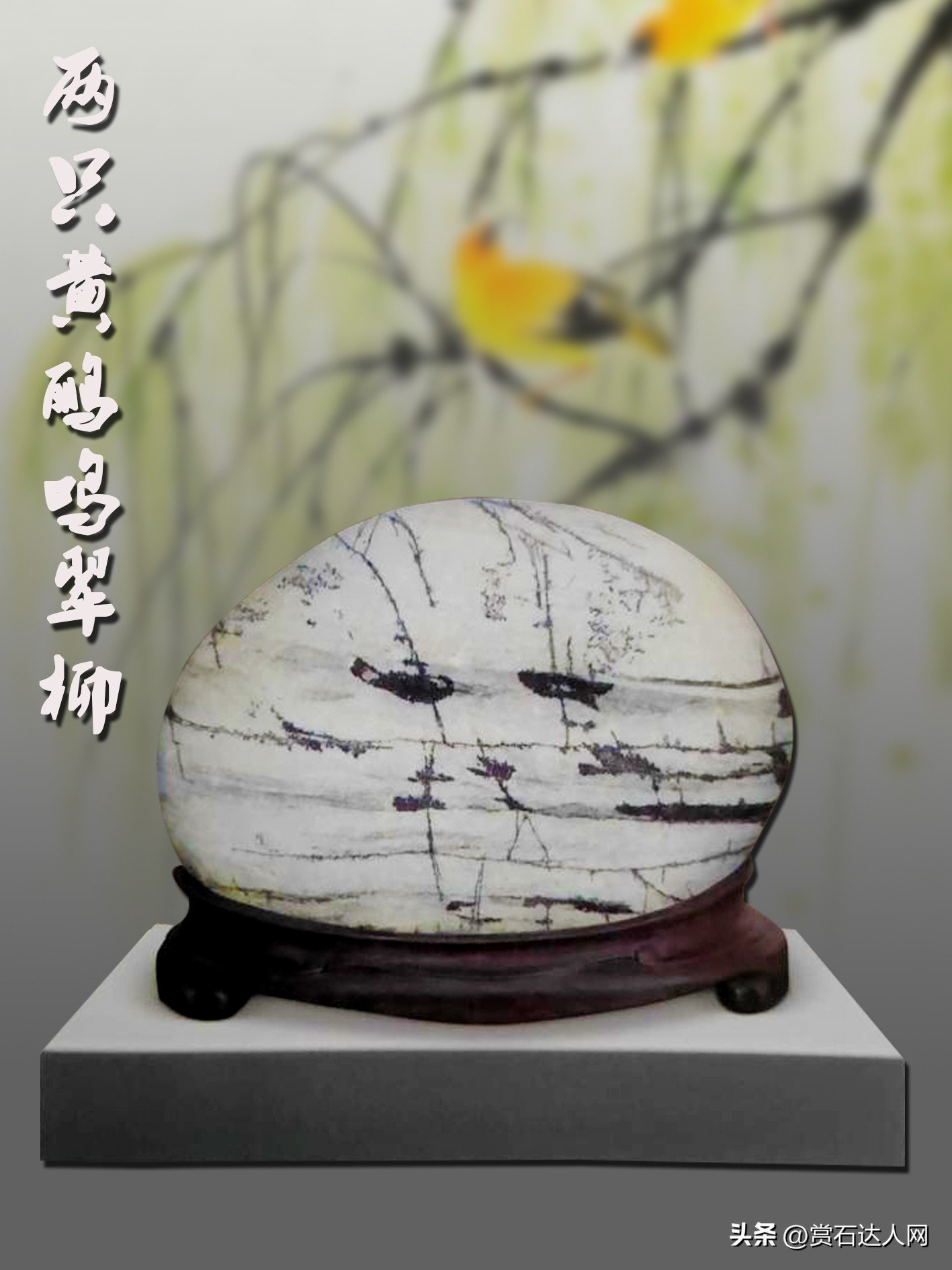 五颜六色的石头拍照,五彩斑斓的石头照片