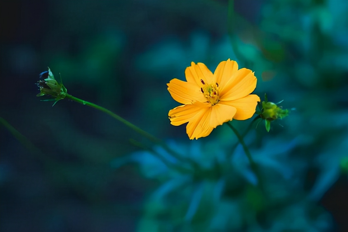 男人撩你和爱你，连发微信的方式都不一样