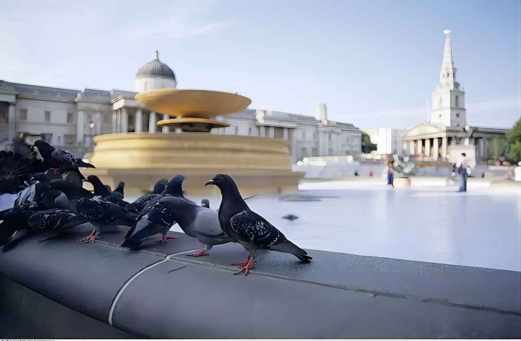 “求你退票吧！”男子买促销机票，20年后他成航空公司噩梦，为何