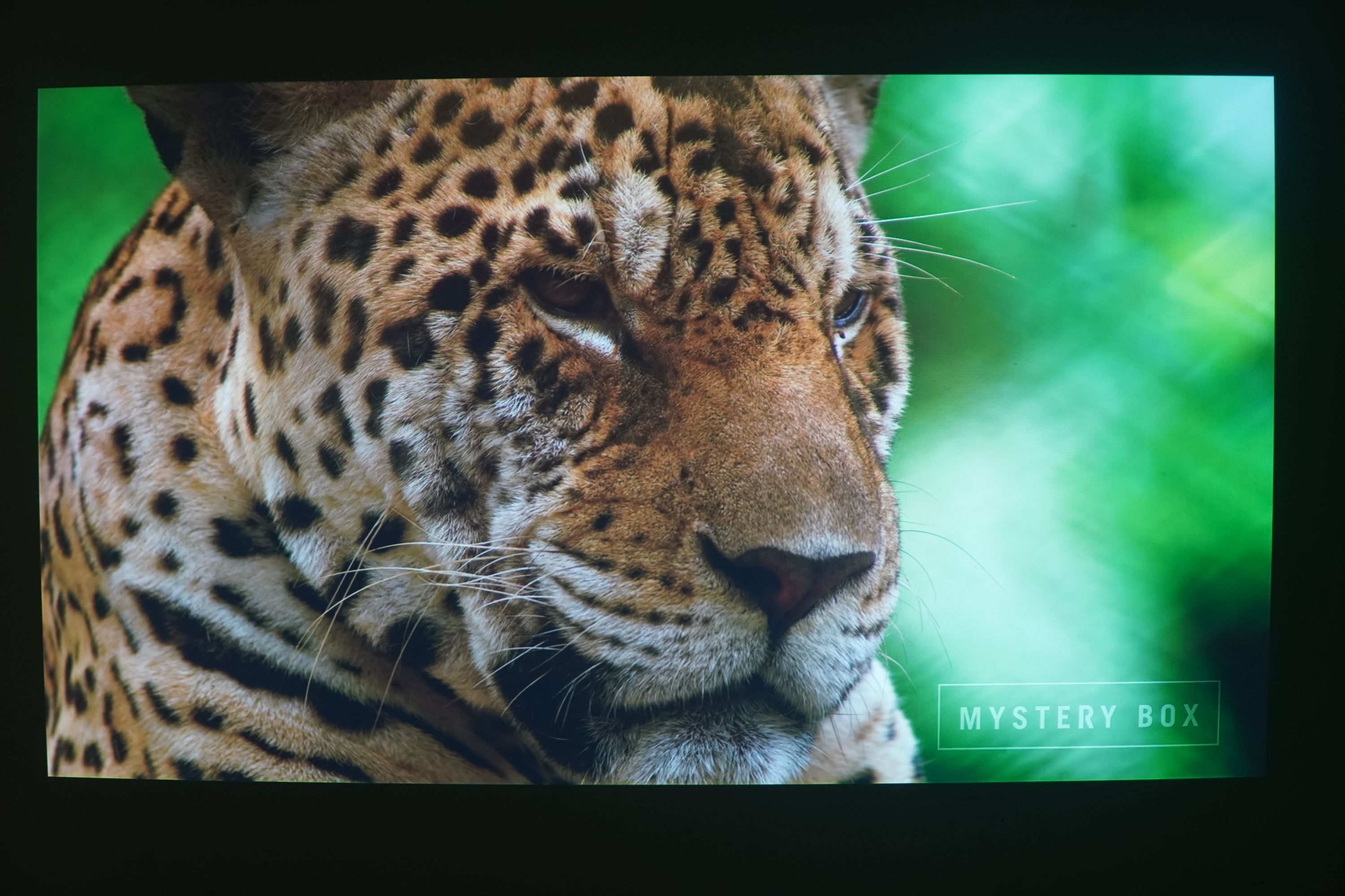 低成本实现老投影仪智能化——爱奇艺电视果6测评