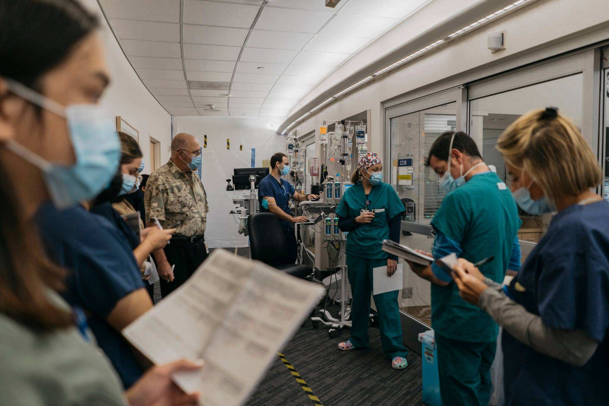 拇指姑娘出生时图片,拇指姑娘刚出生的样子