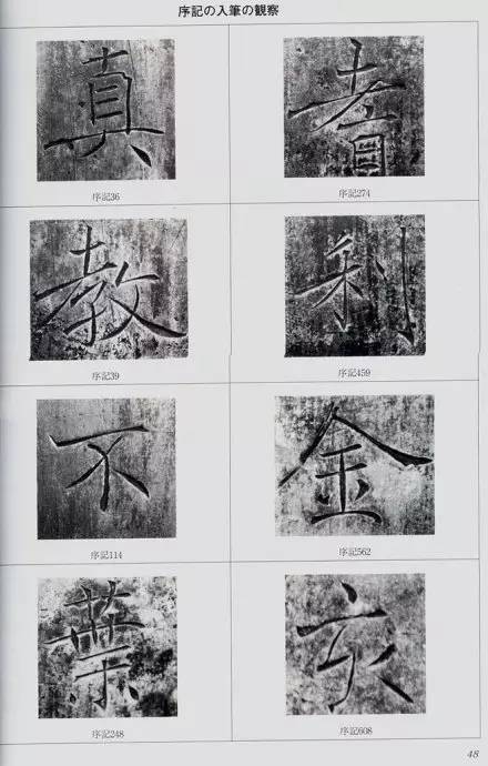 宸ョ瑪鐢绘潹鏅箟鐢诲唽,鏉滈箖鏉ㄦ櫘涔夊畬鏁寸増