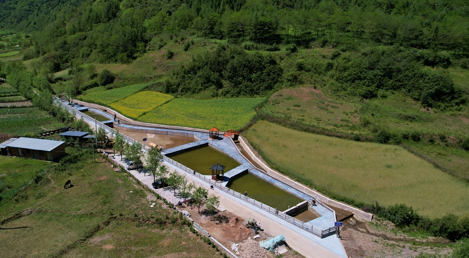 杨家山美丽乡村建设,武山杨河镇乡村振兴