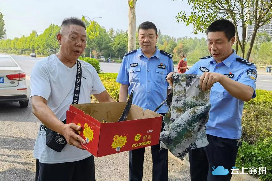 这天真热晕“鸟”！游隼难耐酷热，坠落了......