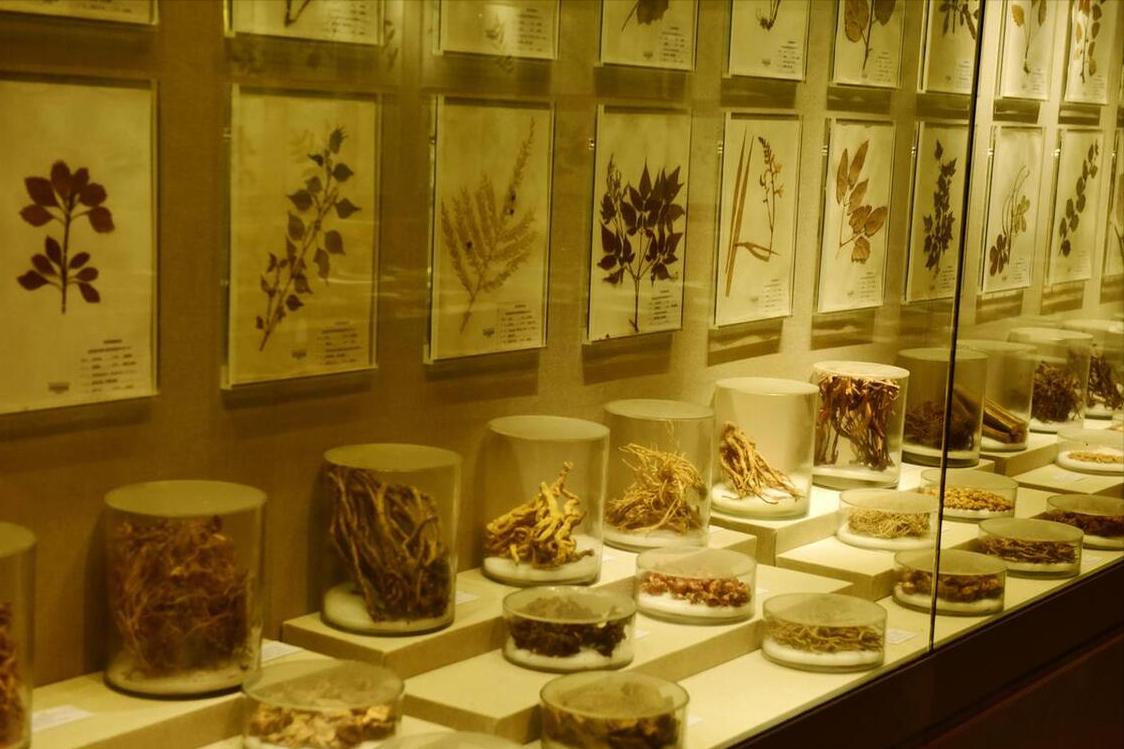 走近中医|利用“络病理论”对干燥综合征的病机分析与治疗