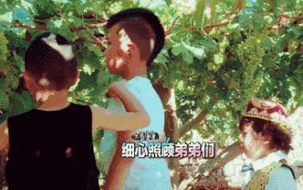 被时代洪流裹挟年轻人,被流量裹挟